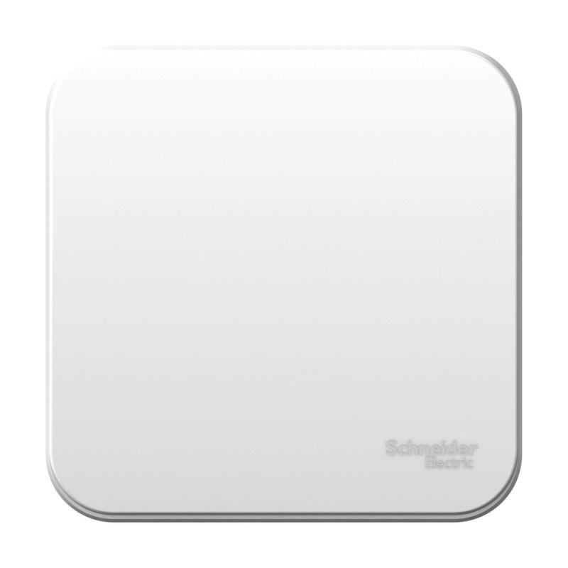 выключатель 1-кл. оп blanca 10а ip20 (сх. 1) 250в бел. se blnva101001 с доставкой по МСК, категория выключатели, переключатели