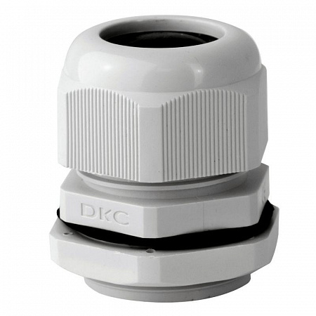 Ввод кабельный Dкаб. 20-31мм IP68 PG36 с контргайкой DKC 53200 ввод кабельный dкаб. 20-31мм ip68 pg36 с контргайкой dkc 53200 с доставкой по МСК