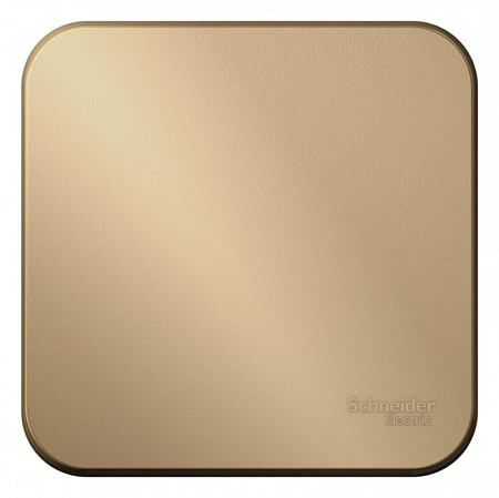 Выключатель 1-кл. ОП Blanca 10А IP20 (сх. 1) 250В с изолир. пластиной титан SE BLNVA101014 выключатель 1-кл. оп blanca 10а ip20 (сх. 1) 250в с изолир. пластиной титан se blnva101014 с доставкой по МСК