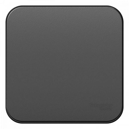 Выключатель 1-кл. ОП Blanca 10А IP20 (сх. 1) 250В с изолир. пластиной антрацит SE BLNVA101016 выключатель 1-кл. оп blanca 10а ip20 (сх. 1) 250в с изолир. пластиной антрацит se blnva101016 с доставкой по МСК