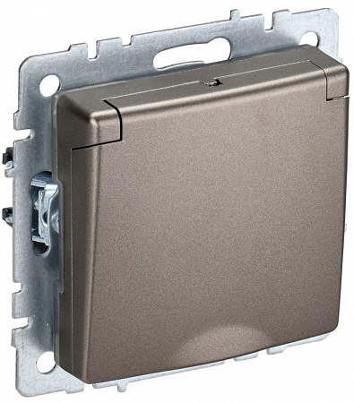 Розетка BRITE РСбш10-3-44-БрШ 16А IP44 с заземл. защ. шторки с крышкой шампань IEK BR-R16-16-44-K37 розетка brite рсбш10-3-44-брш 16а ip44 с заземл. защ. шторки с крышкой шампань iek br-r16-16-44-k37 с доставкой по МСК