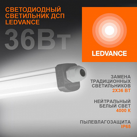 Светильник светодиодный Eco Class Damp Proof Slim 36Вт 4000К IP65 3700лм 1.2м ДСП промышленный накладной/подвесной сер. (аналог ЛСП) LEDVANCE 4058075169128 светильник светодиодный eco class damp proof slim 36вт 4000к ip65 3700лм 1.2м дсп промышленный накладной/подвесной сер. (аналог лсп) ledvance 4058075169128 с доставкой по МСК